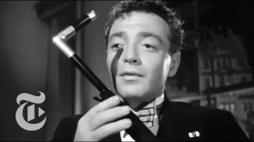 מבט על הבז המלטזי